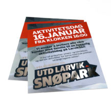 Flyer