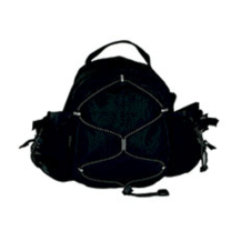 Original Waist Pack